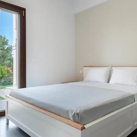 Amaryllis *